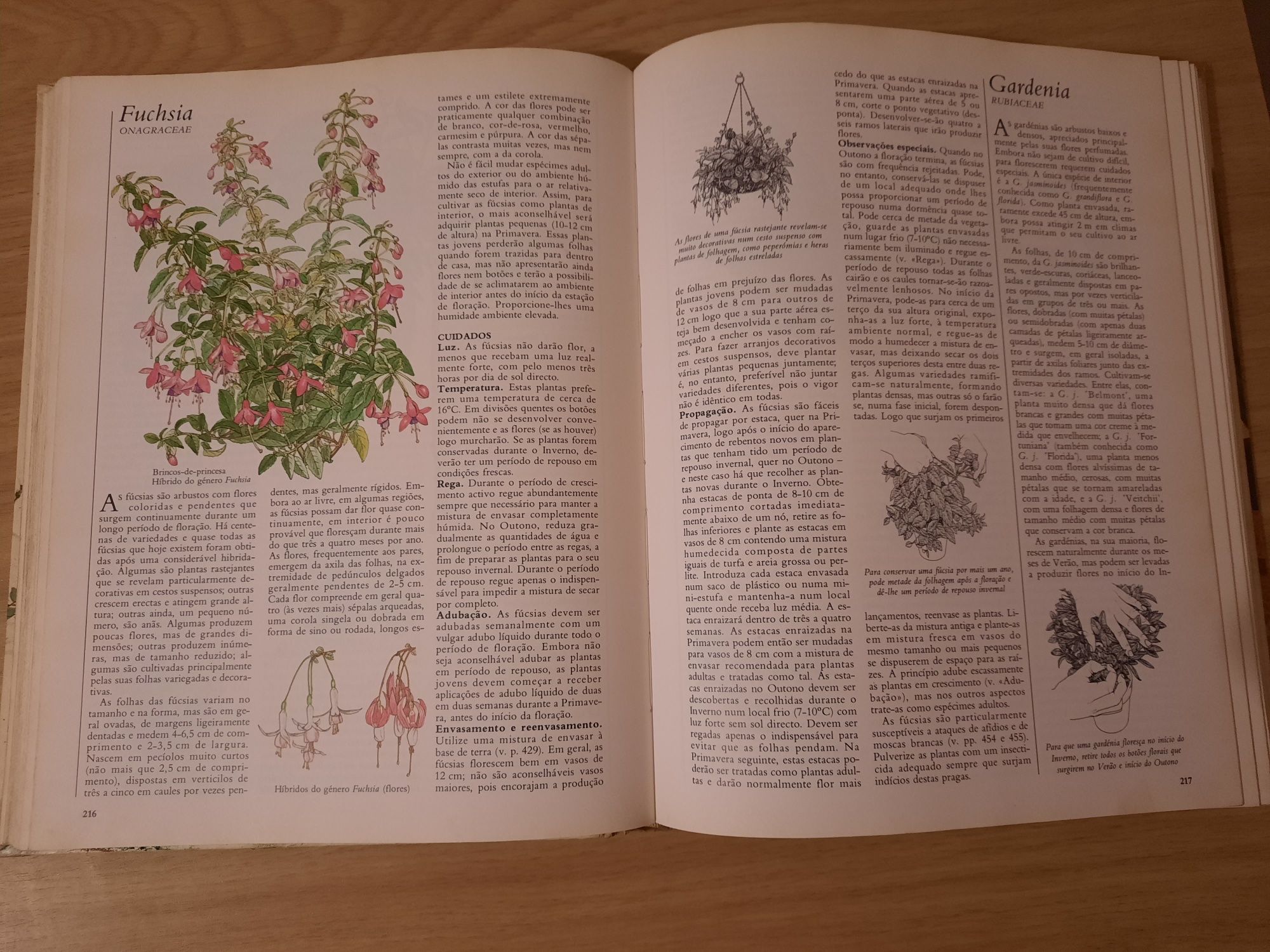 O grande livro das plantas de interior