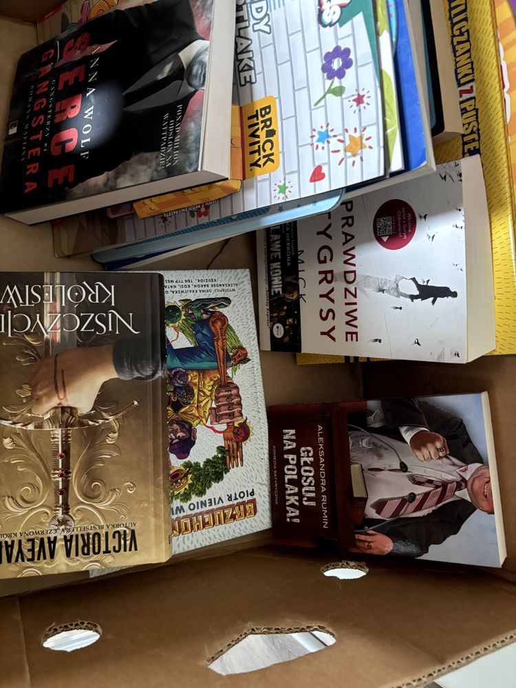 Karton mix książki dla dzieci dla dorosłych 150szt