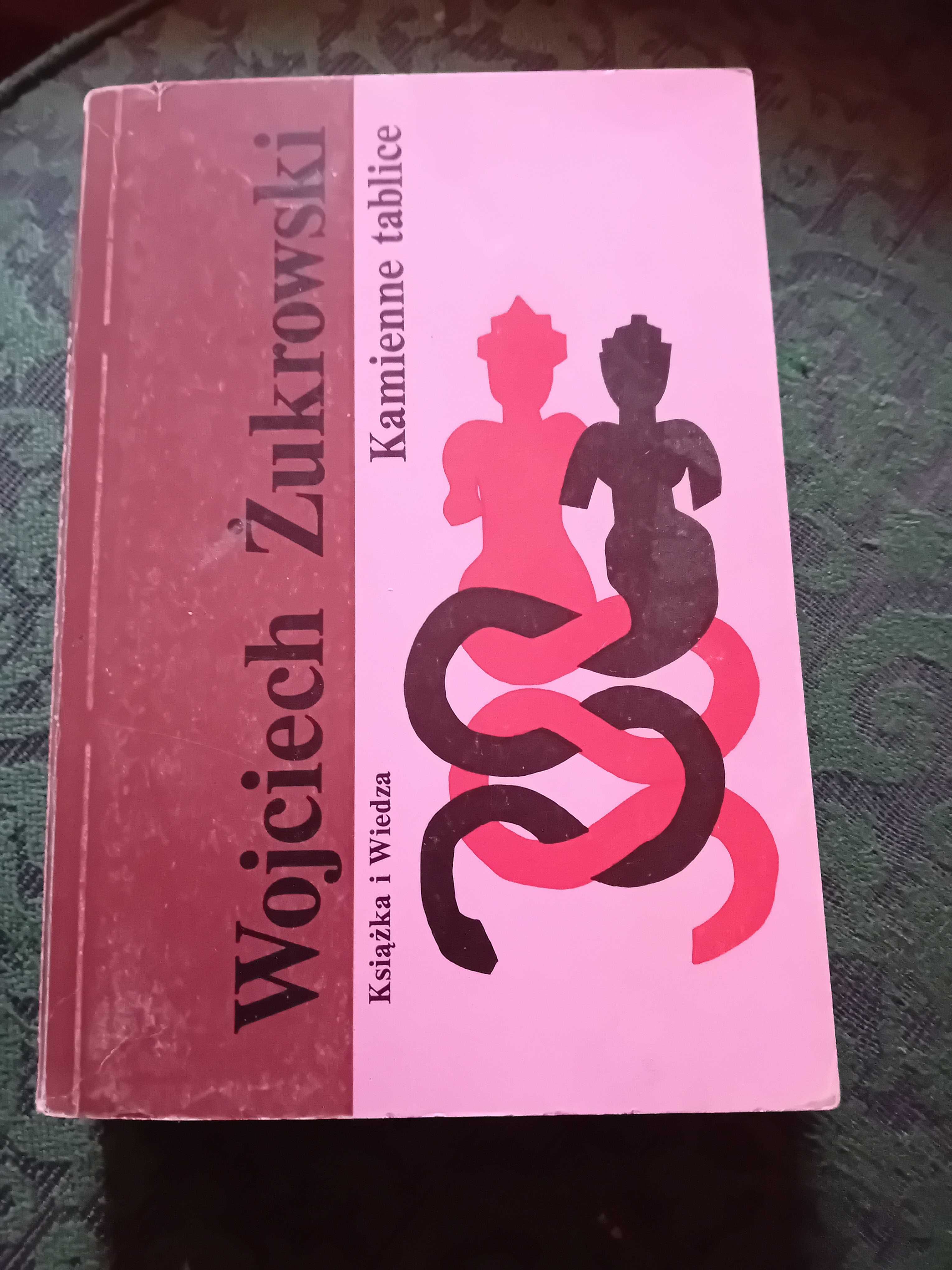 Kamienne tablice - Wojciech Żukrowski