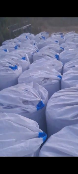 Озимий ячмінь 2025 року — гарна якість, самовивіз Вінницька обл.