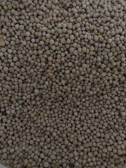 Продам горох жовтий