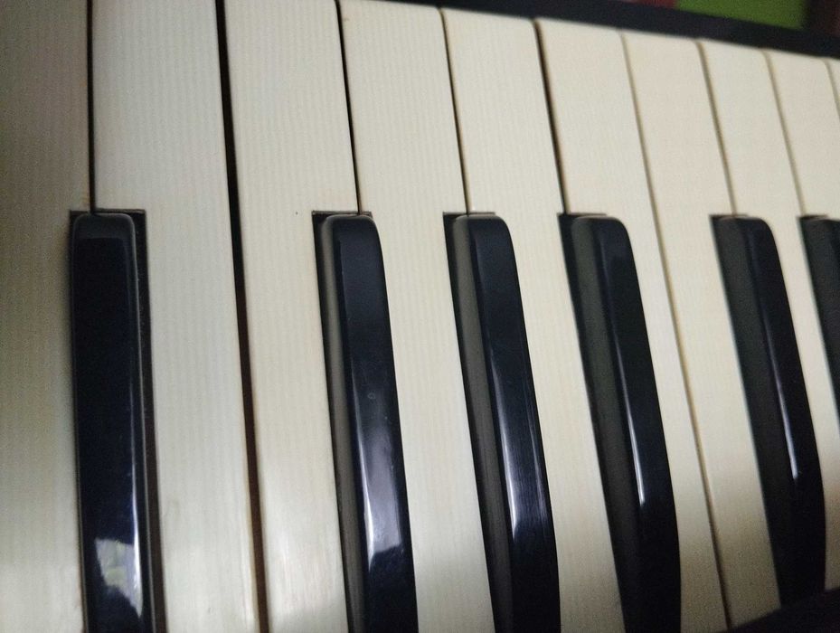 Akordeon Hohner Tango VI M