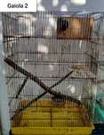 Gaiola para chinchila / degu