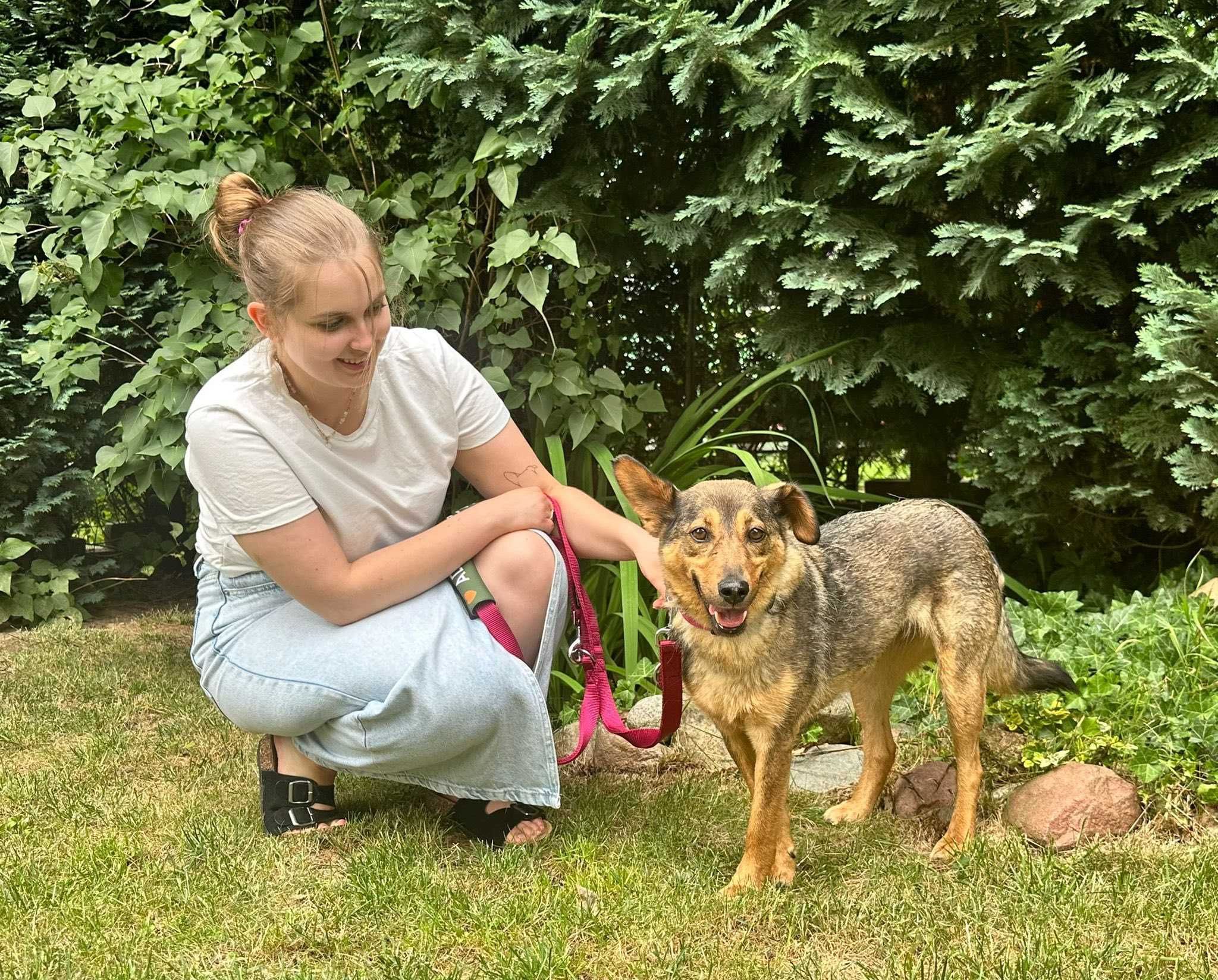 Do adopcji! Delikatna Madi!