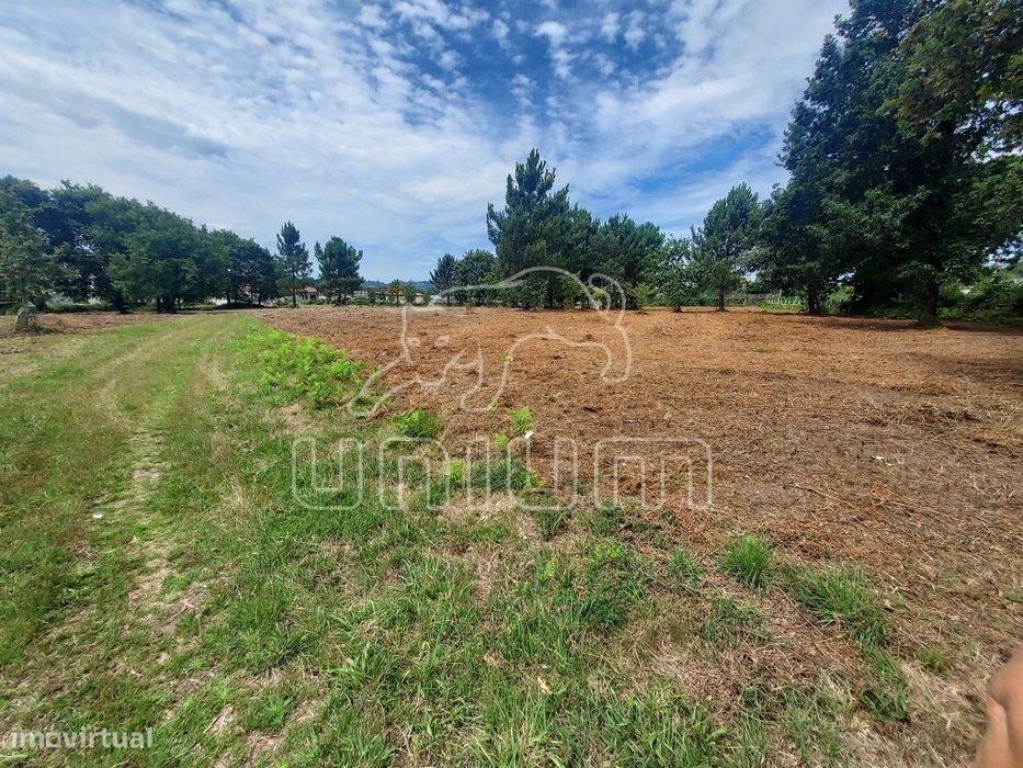 TERRENO - Cardielos, Viana do Castelo