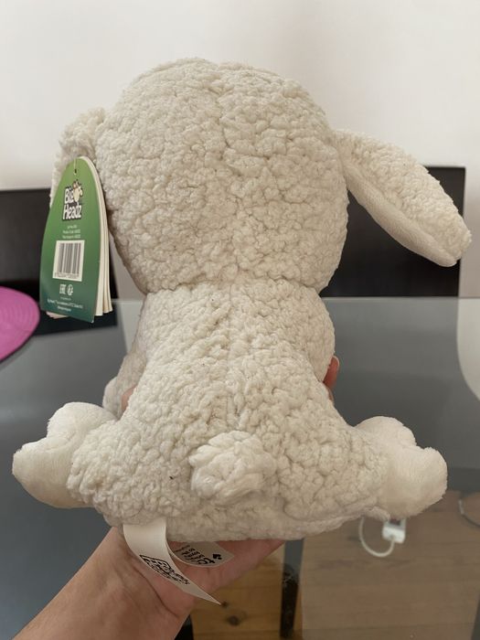 Animal da Quintinha Ovelha