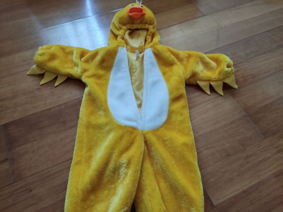 Vendo fato de carnaval