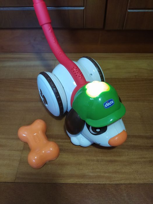 Chicco cão detetive