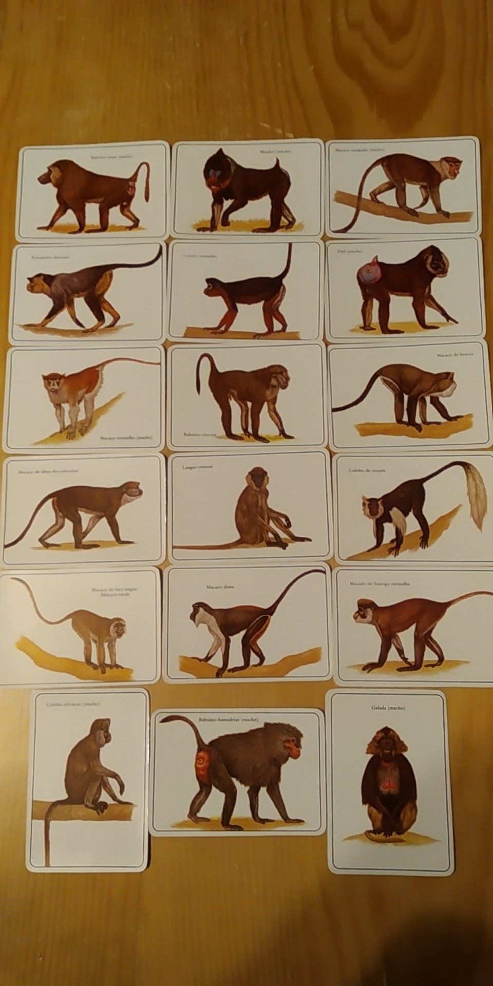Calendários de animais antigos