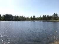 Риболовля біля Київа карп карась озеро 2.5 г альтанки квадроцикли багі