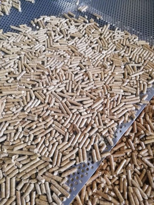 Pellet Premium Sosna A1 Producent