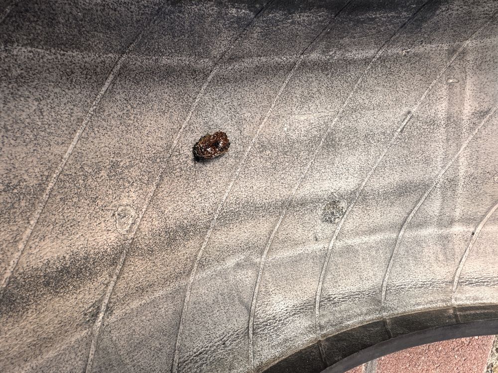 Michelin pilot sport 4 zp 225/45/17