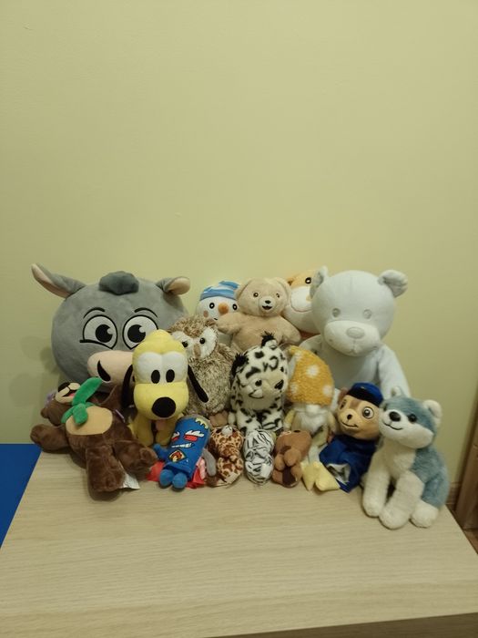 Zestaw różnych pluszaków