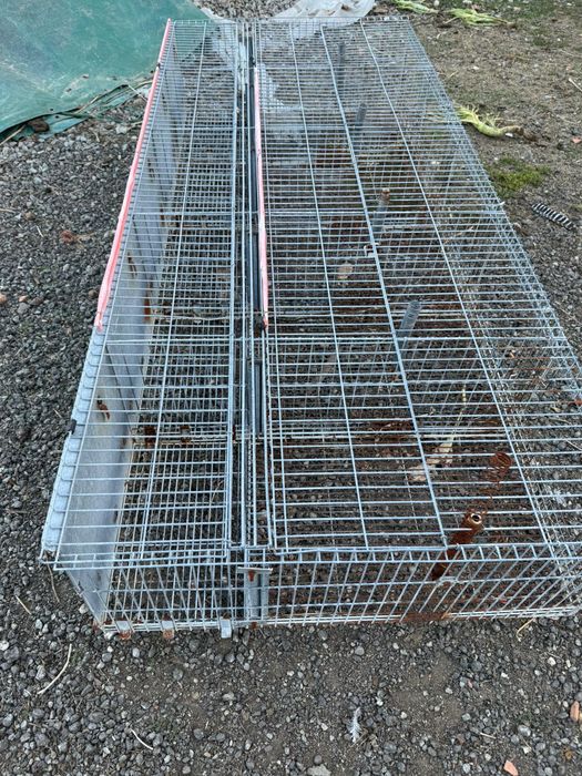 Gaiola para coelhos