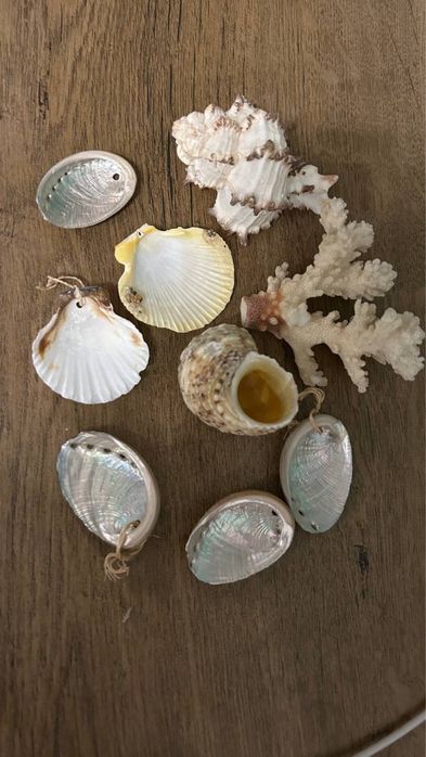 Декоративные камни и ракушки разных расцветок