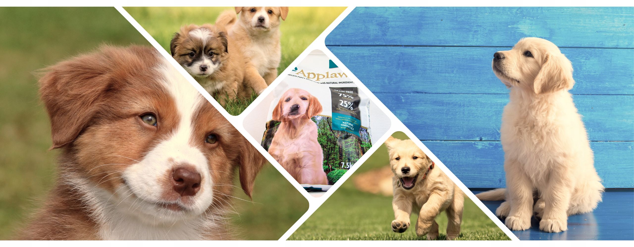 Applaws Puppy Karma Sucha Kurczak 75% dla Szczeniąt 7,5kg S-M