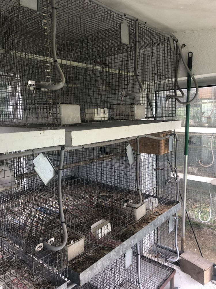 Gaiolas para aves