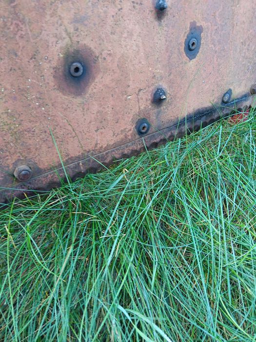 Wicinak bvl sprzedam