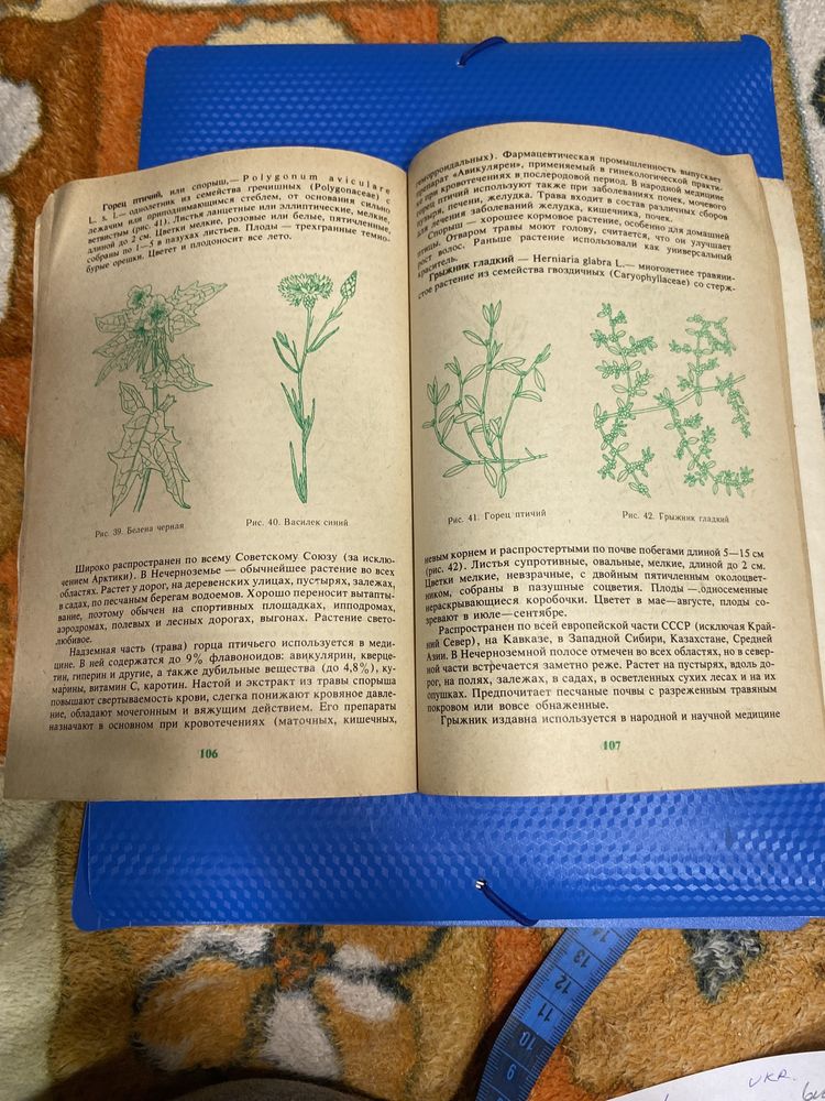 Книга « Дикорастущие полезные растения»