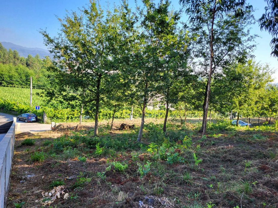 Terreno em Silvares com 3000 m^2