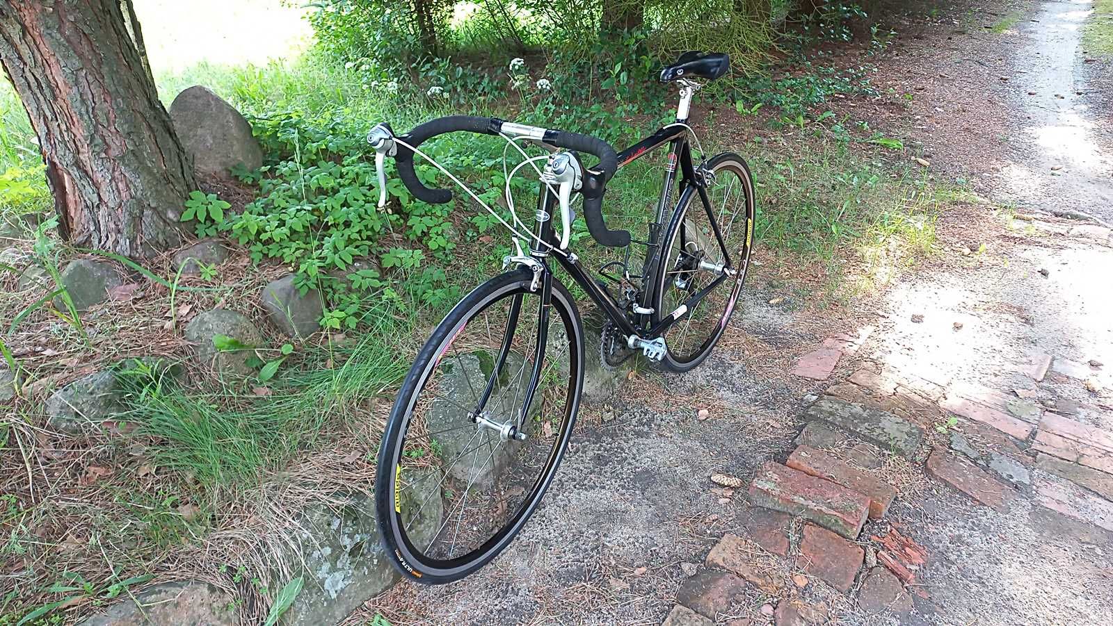 Rower Szosowy Kolarka Szosa Batavus Competition Carbonrace 3x8 RSX 28