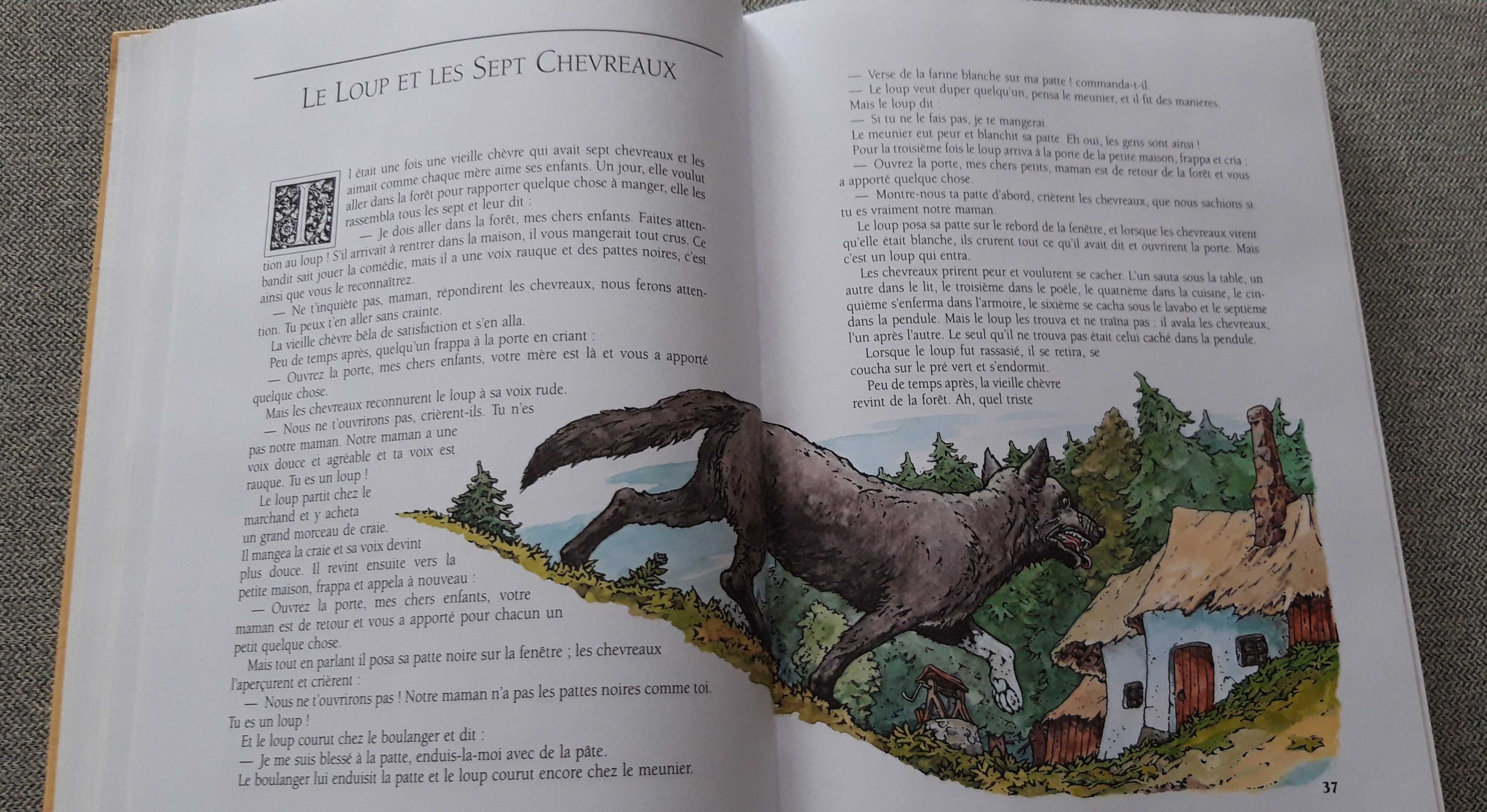Livro em francês "Contes de Grimm"