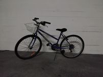 Bicicleta senhora