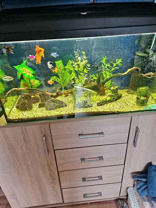 Kompletne akwarium 112l z rybkami