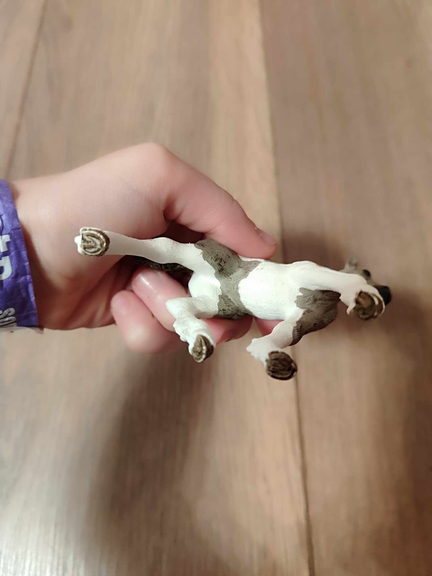 Schleich konik żrebak