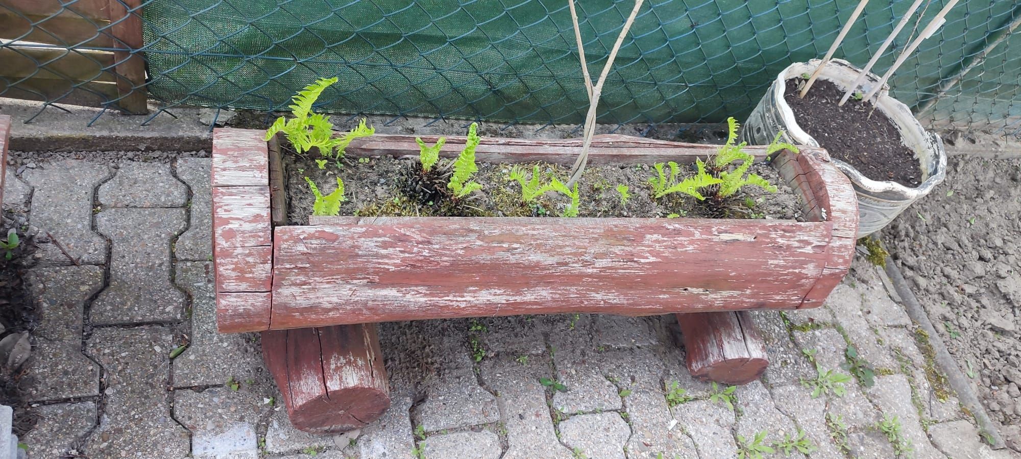 Dębowa donica do poprawek - możliwość zakupu 2 sztuk