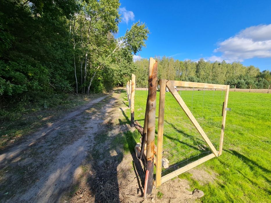 Ogrodzenie tymczasowe leśne budowa