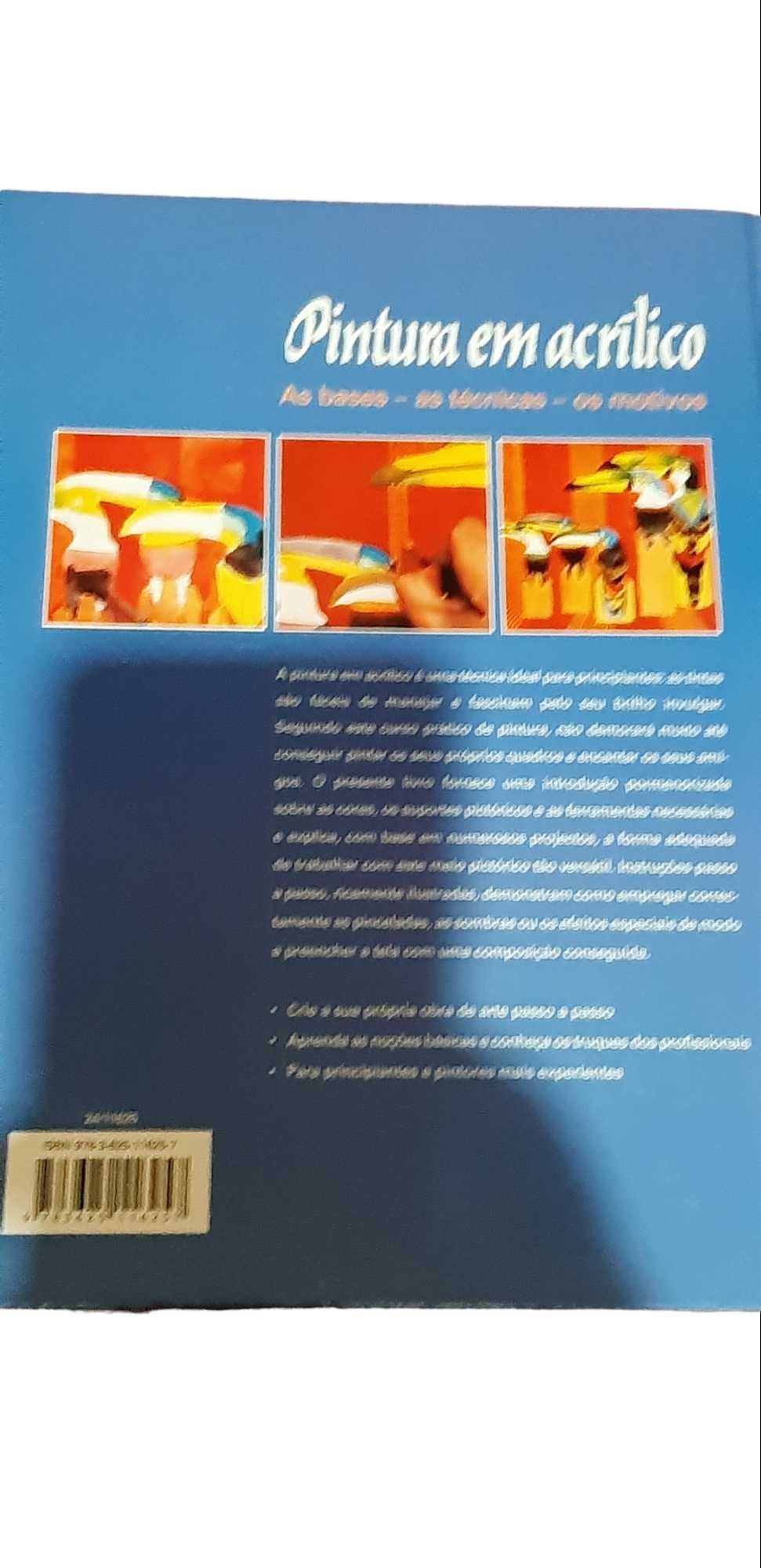 Livro pintura em acrílico