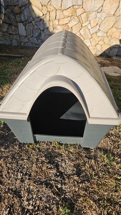 Casa plástico para cão