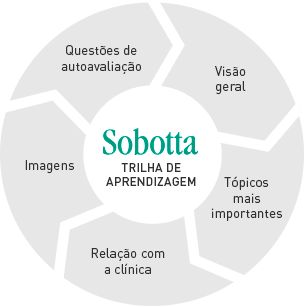 Sobotta - Atlas de Anatomia Humana - 3 Vol. + 1 ,  25ª Ed. Novidade