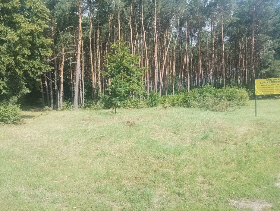 Działka budowlana uzbrojona z własnym lasem 2000 m2 Rościnno