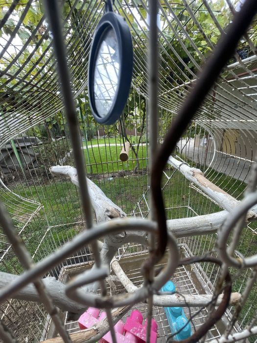 Клетка для попугаев