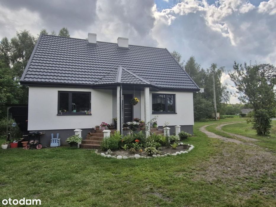 Dom szuka właściciela