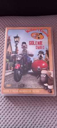 Wallace i Gromit  golenie owiec dvd