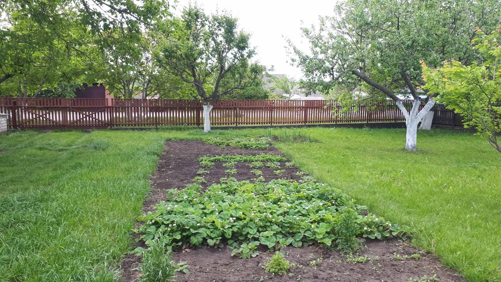 Продам будинок з садом і земельними ділянками.