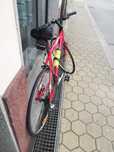 Bicicleta BERG roda 29