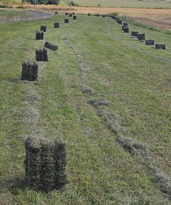 Siano ekologiczne w kostkach gospodarstwo Zabrze-Grzybowice pakowane