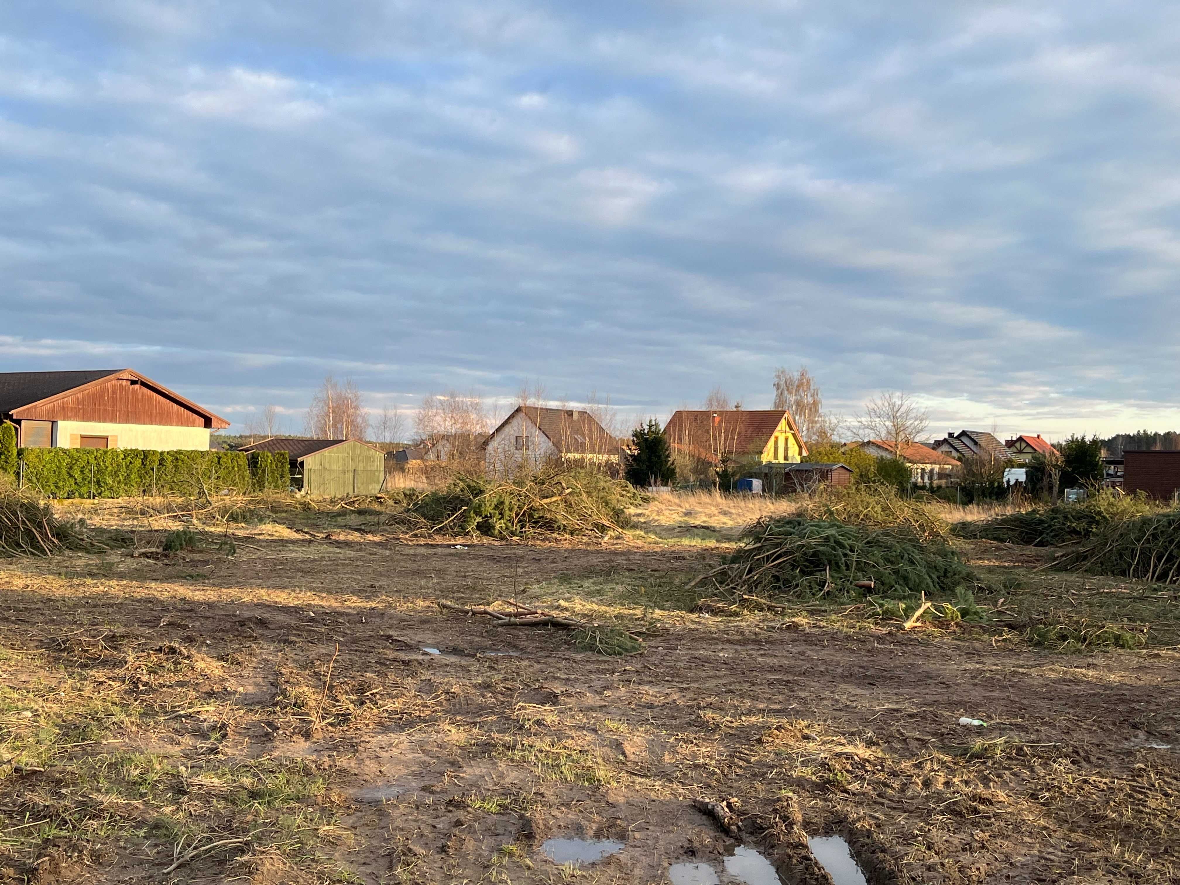 Gałęzie na zrębkę, na opał - oddam za darmo - lokalizacja: Łochowo