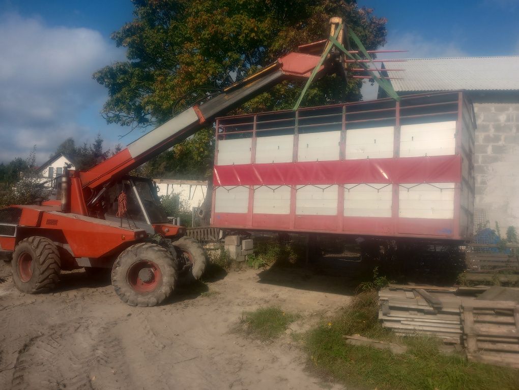 Zabudowa paka do przewozu zwierzat koni bydła trzody zywca