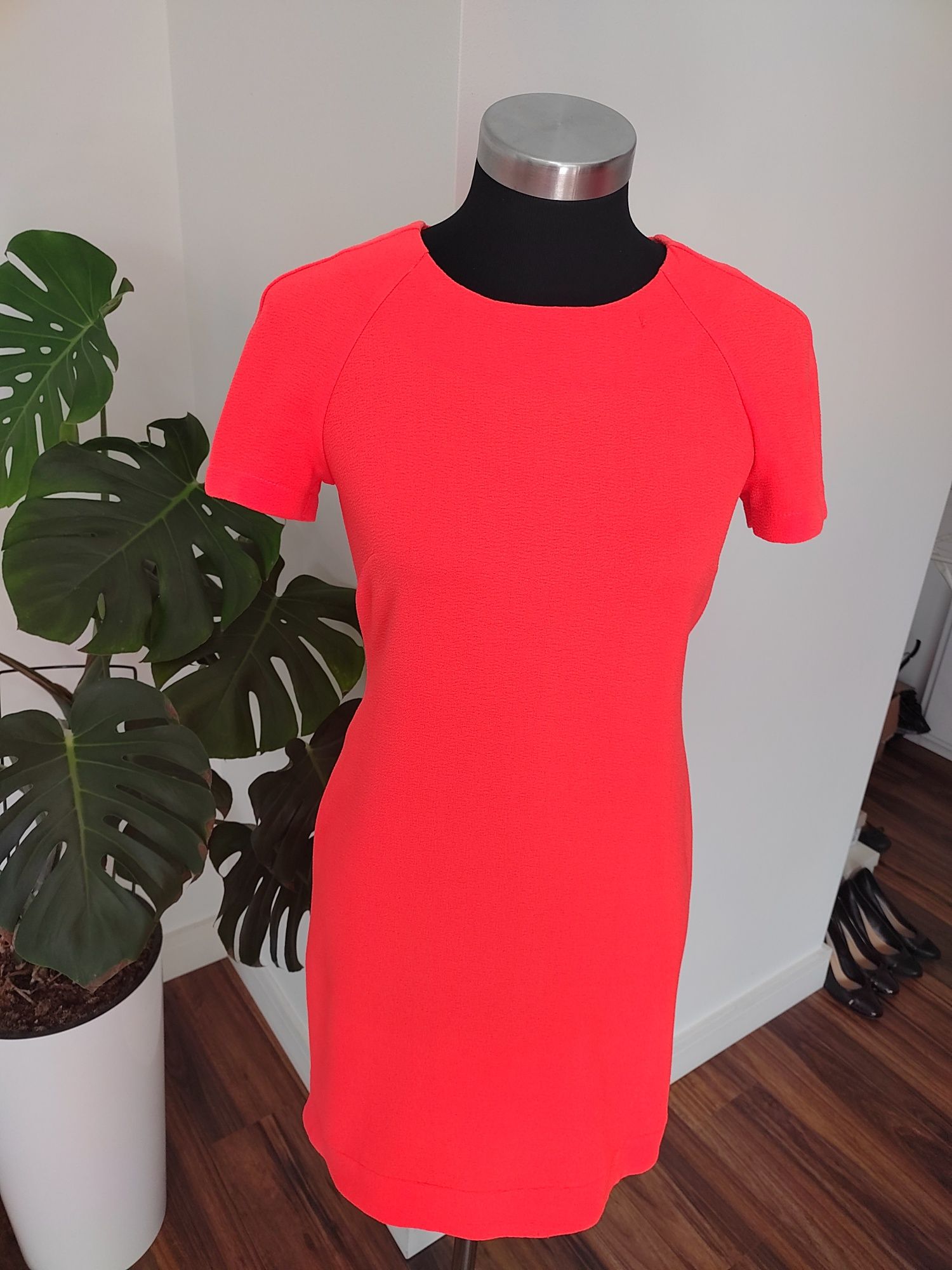 Neon pomarańcz sukienka na lato krótki rękaw zamek ZIP S 36 topshop