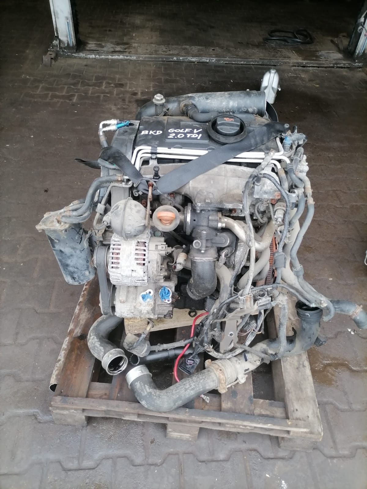 Silnik Volkswagen touran 2.0 tdi bkd
