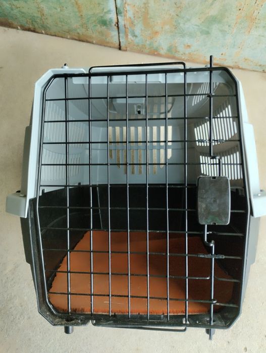 Caixa de transporte de cão
