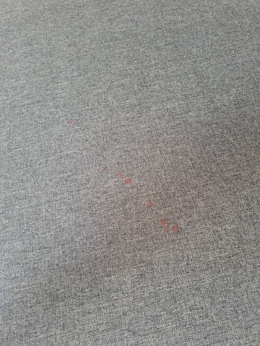 Rozkładana sofa 3osobowa IKEA Asarum