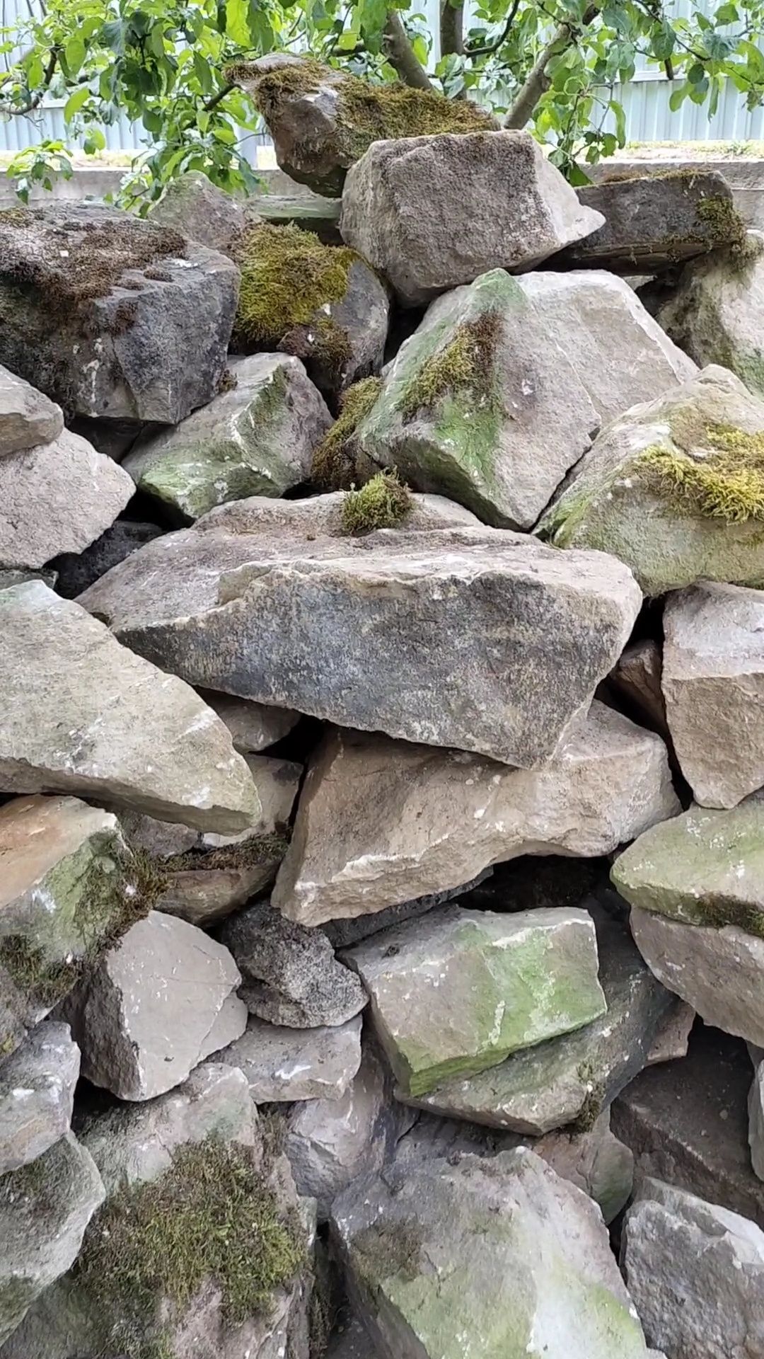 Камінь бутовий з пророднім мохом