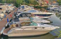 Sea Ray Sundancer 250