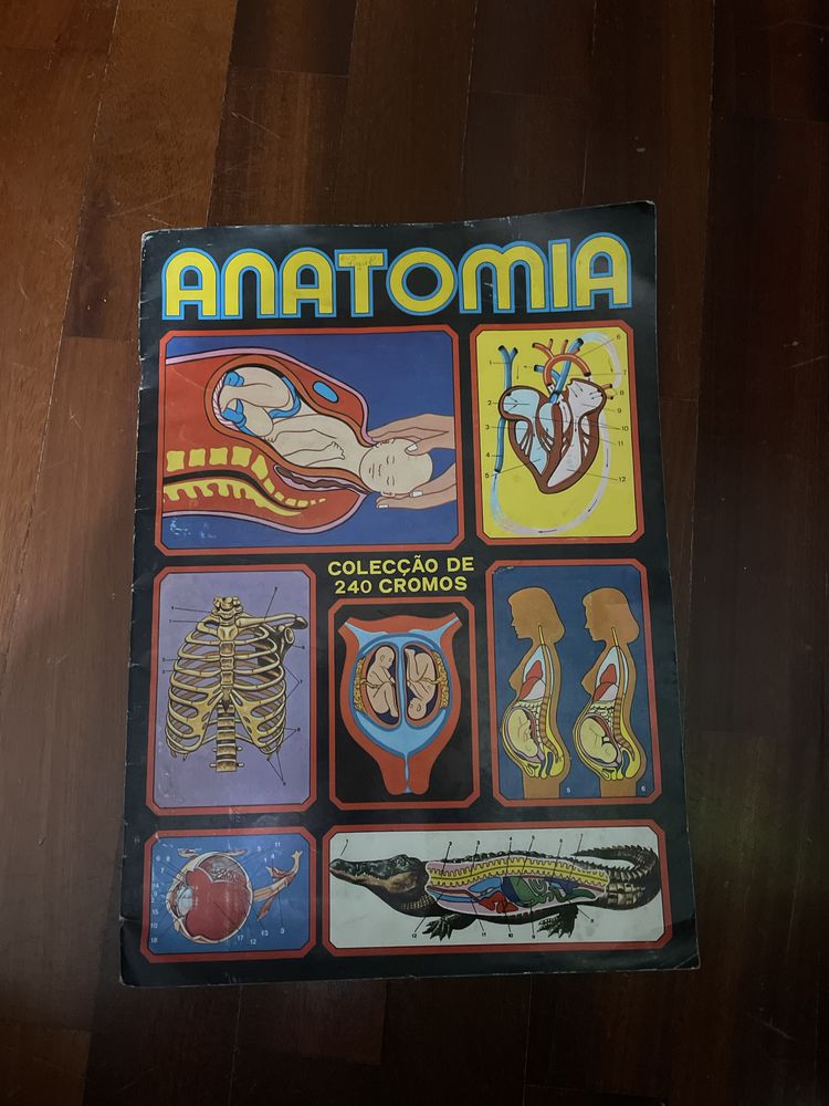 Caderneta conpleta Anatomia